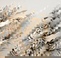 Small and Humble art exhibition - Accommodation Cairns