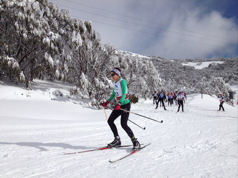 Snow, Trek And Travel High Plains Tour - Accommodation Cairns 2