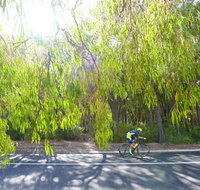 SunSmart FunMan Triathlon - Accommodation Cairns
