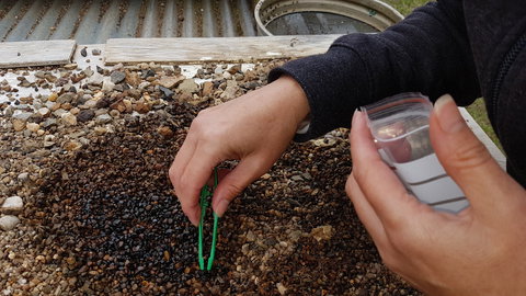 The Minerama Fossicking, Gem And Jewellery Show - Accommodation Cairns 1