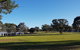 Wagga Parkrun - thumb 0