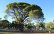 Wagga Parkrun - thumb 1