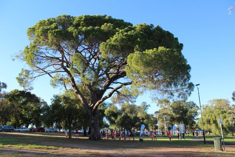 Wagga Parkrun - Accommodation Cairns 1