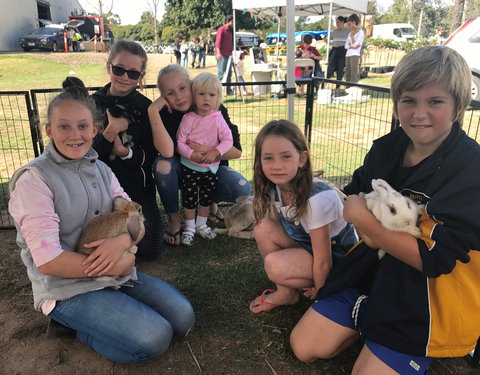 Whittlesea Monday Market - Accommodation Cairns 1