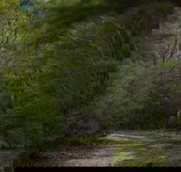 Yering Gorge Cottages - Accommodation Cairns