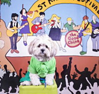 Habitat HQ - Hostel - Accommodation Cairns