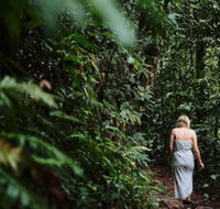 Daintree Ecolodge - Accommodation Cairns