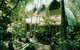 The Garden Burees - thumb 0