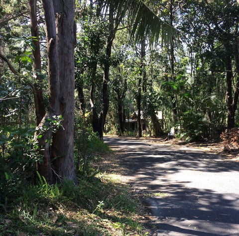 Byron Bay Rainforest Resort - Accommodation Cairns 3