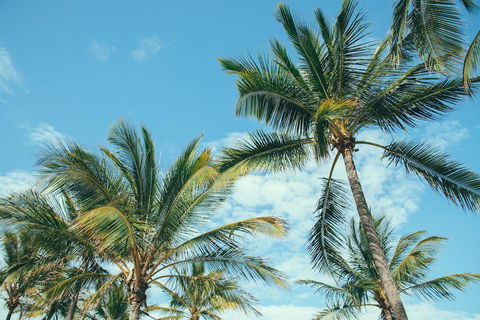 Base Magnetic Island Hostel - Accommodation Cairns 0
