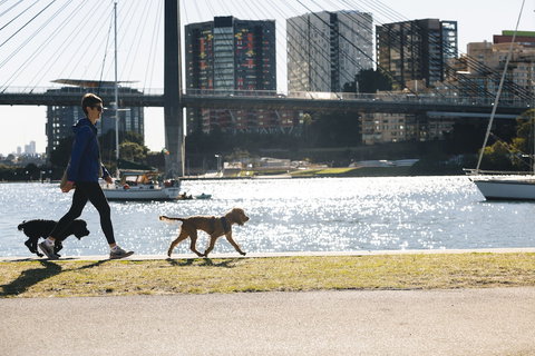 Haven Glebe - Accommodation Cairns 0