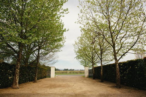 Lancemore Milawa - Accommodation Cairns 3