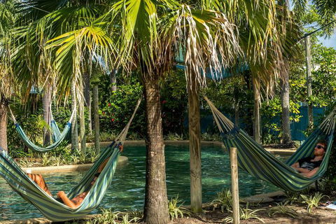 Summer House Backpackers Cairns - Accommodation Cairns 2