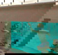 Novotel Brisbane Airport - Accommodation Cairns