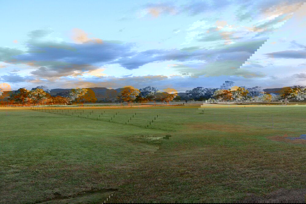 Lyra QLD Accommodation Cairns