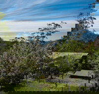 Buttercuphill BB - Accommodation Cairns