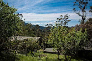 Buttercuphill B&B - Accommodation Cairns 0