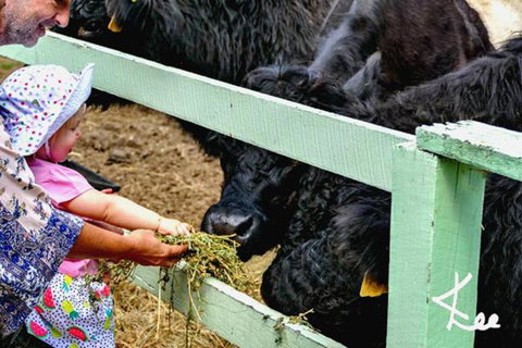 Rosecliffe Boutique Farm Cottages - Accommodation Cairns 1