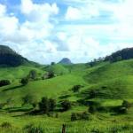 Rosecliffe Boutique Farm Cottages - Accommodation Cairns 0