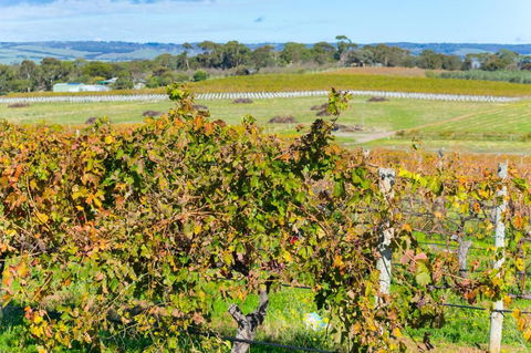 Sun & Surf Aldinga Beach Apartment - Accommodation Cairns 6