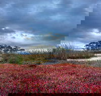 Saintys Creek Cottage - Accommodation Cairns