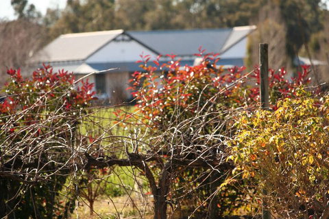 The Farmhouse At Blue Wren Wines - Accommodation Cairns 2