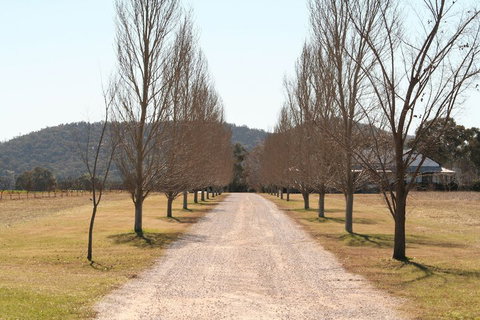 The Farmhouse At Blue Wren Wines - Accommodation Cairns 4