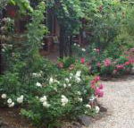 Maldons Eaglehawk Motel - Accommodation Cairns