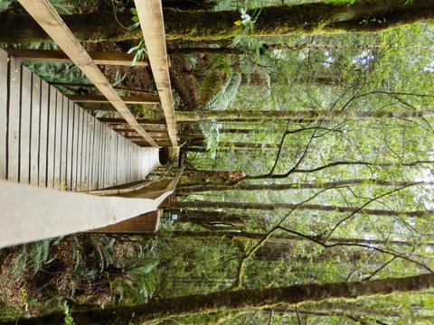 Tahune Air Walk Lodge - Accommodation Cairns 4