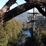 Tahune Air Walk Lodge - Accommodation Cairns 0
