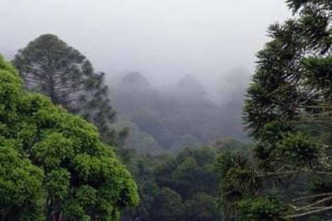 Bunya Mountains Accommodation Centre - Accommodation Cairns 3