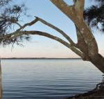 Waterfront Jervis Bay Escape Cooinda - Accommodation Cairns