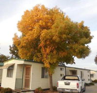 Wodonga Caravan  Cabin Park - Accommodation Cairns