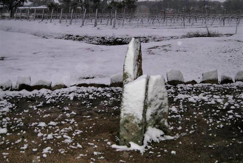 Taits Place Vineyard B & B - Accommodation Cairns 1