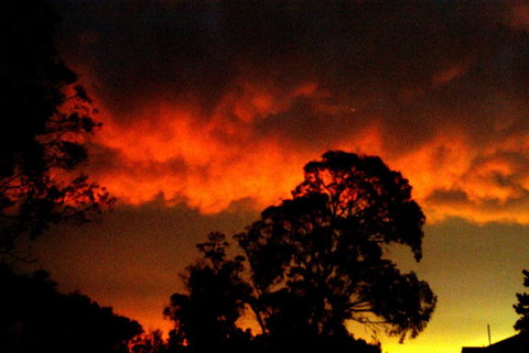 Taits Place Vineyard B & B - Accommodation Cairns 2