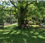 Bielbys Hideaway - Accommodation Cairns