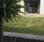 Ella House Adelaide - Accommodation Cairns