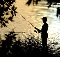 Wooli River Lodges - Accommodation Cairns
