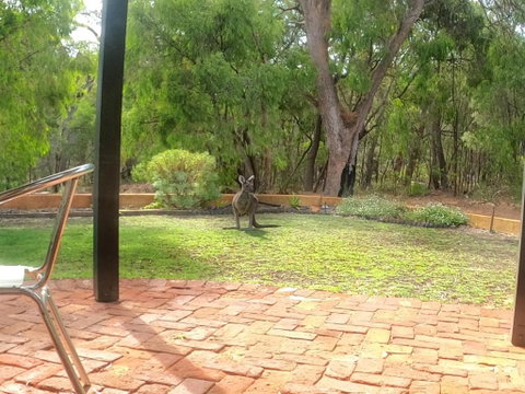 Yallingup Pet Friendly Bush Retreat - Accommodation Cairns 5