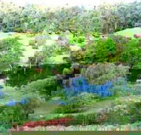 The Acreage BB - Accommodation Cairns