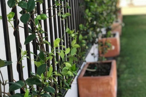 Takalvan Motel - Accommodation Cairns 1