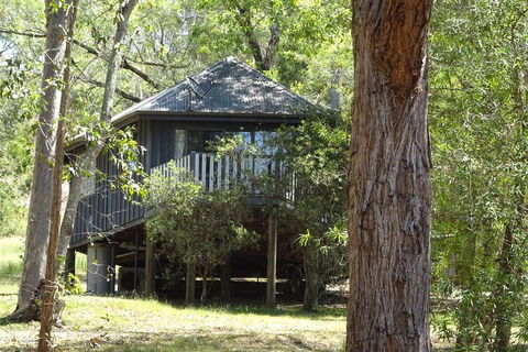 Barrington Tops Nest - Accommodation Cairns 2