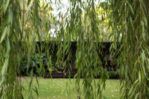 Botanica Editions - Accommodation Cairns 6
