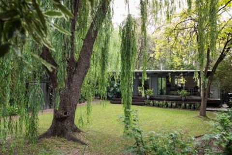 Botanica Editions - Accommodation Cairns 3