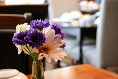 Blue Bell Inn - Accommodation Cairns 3