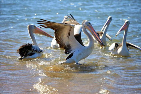 Alva Beach Tourist Park - Accommodation Cairns 4