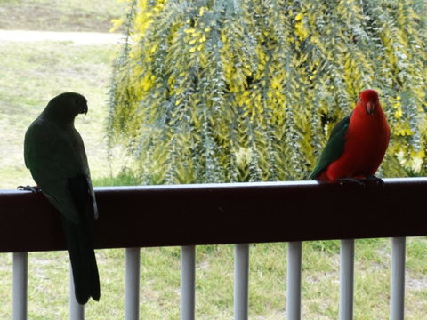 Loughmore House - Accommodation Cairns 2