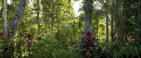 Sharlynn By The River - Accommodation Cairns 5
