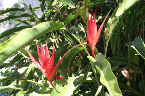 Scarborough Beach Break Holidays - Accommodation Cairns 2