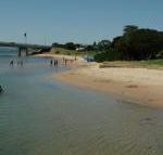 Black Dolphin Waterfront Apartment - Accommodation Cairns
